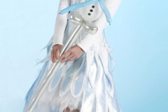 Ice Fairy