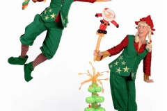 Elves