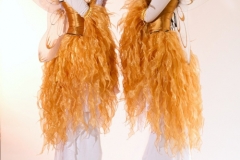 Gold Fairies
