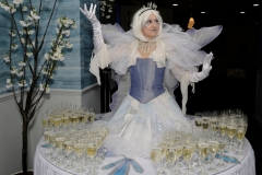 Frost Fairy