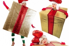 Christmas Gift