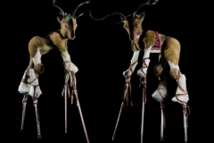 Reindeer