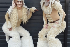 Deer