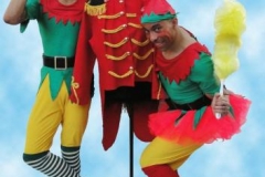 Acrobatic Elves