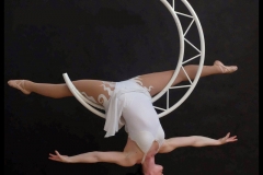 Aerial Moon