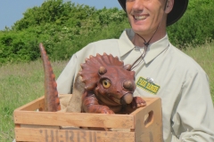 Baby Triceratops