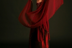 Belly Dancer stilt walker