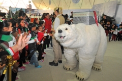 Bjorn The Polar Bear