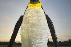 Blizzard-The-Penguin