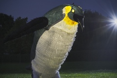 Blizzard-The-Penguin