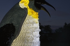 Blizzard-The-Penguin