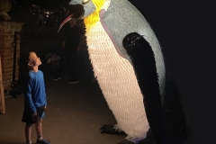 Blizzard-The-Penguin