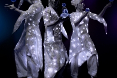 Calvos Lux - Gallery 2