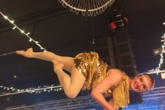 Aerial Bartending