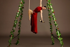 Aerial Bartending
