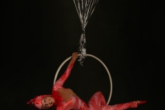 Aerial Bartending