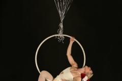Aerial Bartending