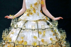 Champagne Skirts