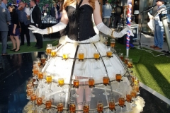 Champagne Skirts