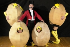Chicks - 4 eggs with Ringmaster