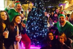Christmas Elves