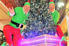 Christmas Elves