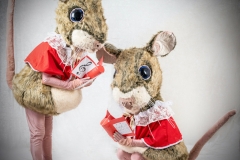 Christmas Mice