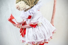 Christmas Mice