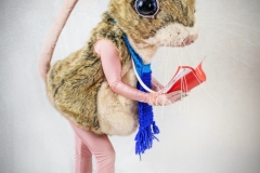Christmas Mice