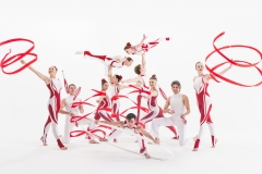 Cirque Shows