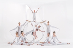 Cirque Shows