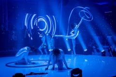 Cirque Shows