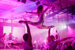 Cirque Shows