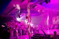 Cirque Shows