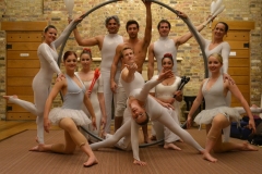 Cirque Shows