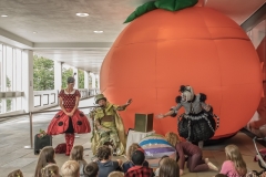 Mr Chirrup’s Global Bug Safari