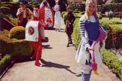 A Curious Wonderland