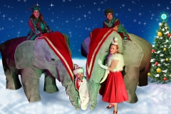 Elephants On Parade