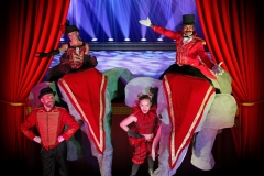 Elephants On Parade