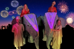 Elephants On Parade