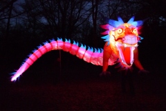 Ember the Dragon