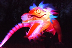 Ember the Dragon