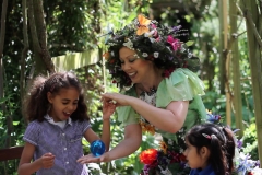 Enchanted Summer