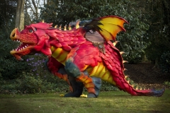 Epico the Dragon