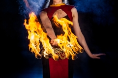 Flambé Fire