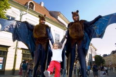 Flying Fox Bats