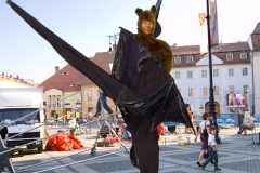 Flying Fox Bats
