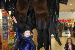 Flying Fox Bats