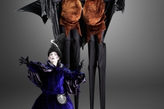Flying Fox Bats