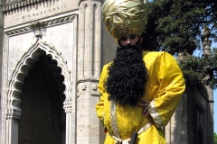 Genie Stilt Walker